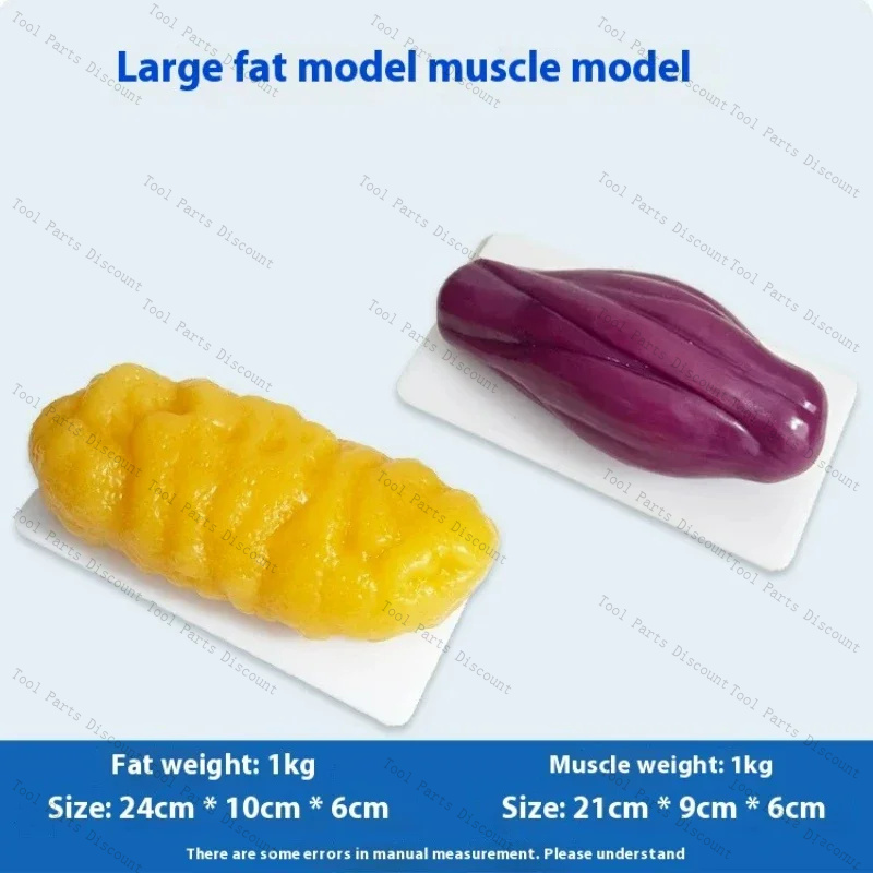 İnsan Kas Replikaları Kilo Ver - Nutrition Fitness Center incelemesi ve fiyatı